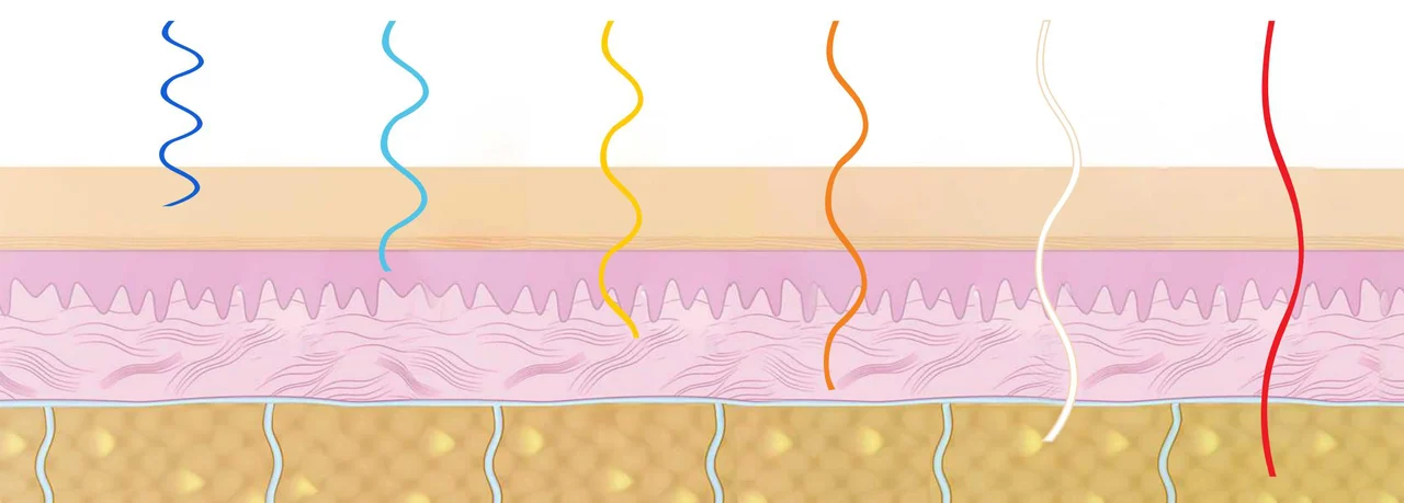 Ilustración del folleto: cada color de luz LED llega a una profundidad distinta de la epidermis, la dermis y la hipodermis